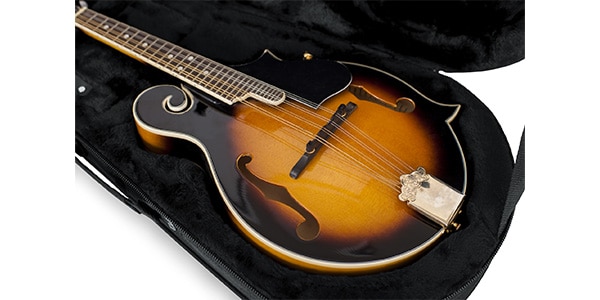GATOR / Mandolin Lightweight Case GLMANDOLIN画像5