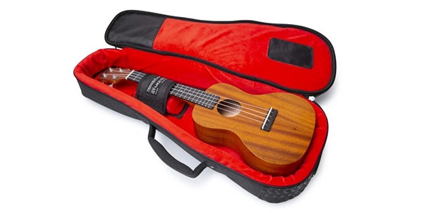 Gator ukulele on sale case