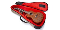GATOR / GT-UKE-TEN-TAN