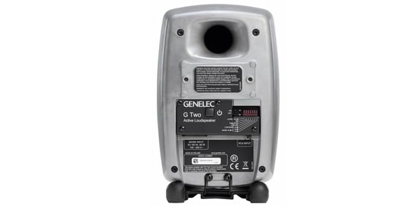 GENELEC / G Two RAW finish pair画像3