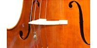 GEWA / Wolf Killer Nickel for cello