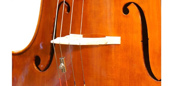 GEWA / Wolf Killer Nickel for cello