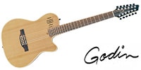 GODIN GUITAR A12 Natural SG 12弦ギター