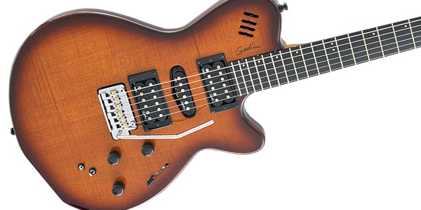 GODIN GUITAR ( ゴダンギター )  / xtSA Lightburst Flame画像2