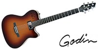 GODIN GUITAR A6 ULTRA Cognac Burst HG