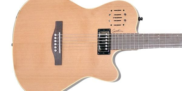 GODIN GUITAR ( ゴダンギター )  / A6 ULTRA Natural SG画像2