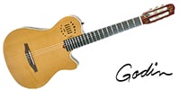 GODIN GUITAR Multiac Grand Concert Duet Ambiance Natural HG