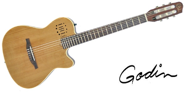 GODIN GUITAR ( ゴダンギター )