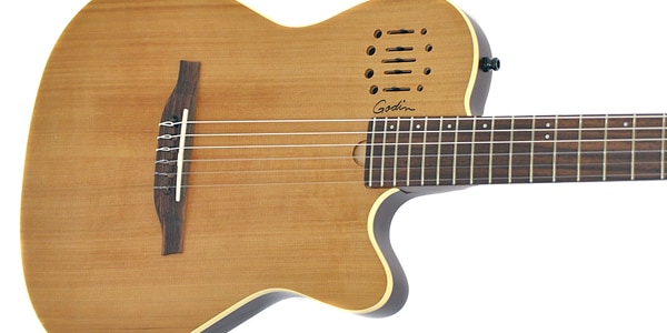 GODIN GUITAR / Multiac Nylon Encore Natural SG画像2