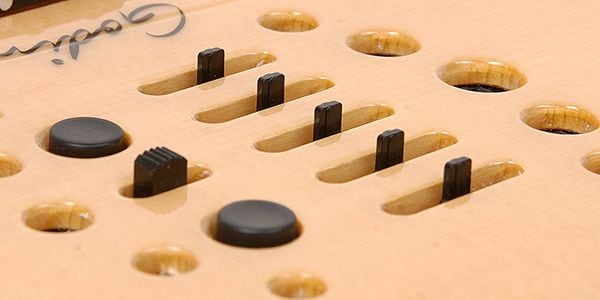 GODIN GUITAR ( ゴダンギター )  / Multiac Nylon SA Left 画像4
