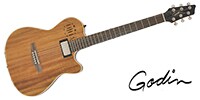 GODIN GUITAR A6 ULTRA Koa HG