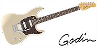 GODIN GUITAR Session LTD Silver Gold HG RN