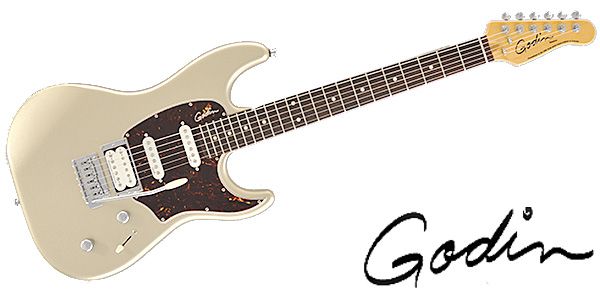 GODIN GUITAR/Session LTD Silver Gold HG RN