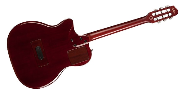 GODIN GUITAR / Multiac Gypsy Jazz Natural HG画像3