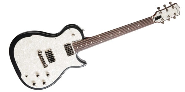 GODIN GUITAR ( ゴダンギター )  / Radiator Bourbon Burst RN画像2