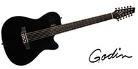 GODIN GUITAR / 048588