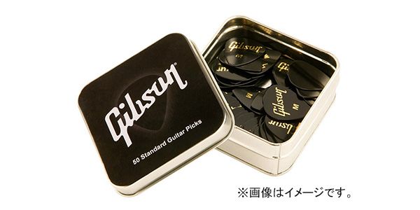 GIBSON ( ギブソン )  / APRGG50-74M Medium 画像2