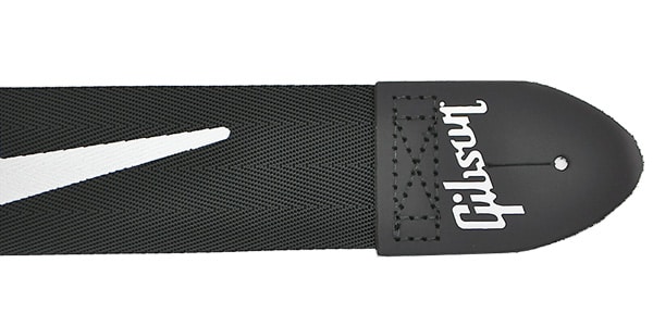 GIBSON / ASGSBL-10画像2