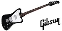 GIBSON / Non-Reverse Thunderbird Ebony