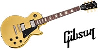 GIBSON / Les Paul Std 50s Mahogany Top TV Yellow