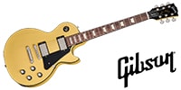 GIBSON / Les Paul Standard 60s Mahogany Top TV Yellow