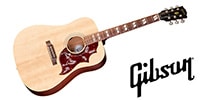 GIBSON / Hummingbird Special Satin Natural