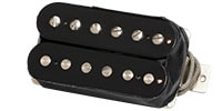GIBSON / 70s Tribute Rhythm, Double Black,