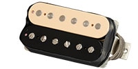 GIBSON / Custombucker Zebra