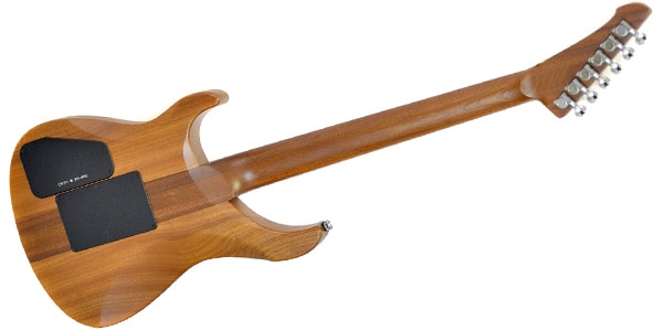 GJ2 GUITARS / Arete 3 Star Natural画像3