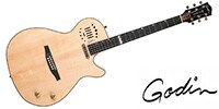 GODIN GUITAR Multiac Steel Natural