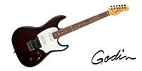GODIN GUITAR / SESSION HT BOURBON BURST RN