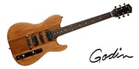 GODIN GUITAR / RADIUM WINCHESTER BROWN RN