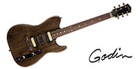 GODIN GUITAR / RADIUM CARBON BLACK RN
