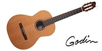 GODIN GUITAR / COLLECTION