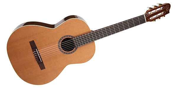 GODIN GUITAR / COLLECTION画像3