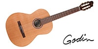 GODIN GUITAR / CONCERT