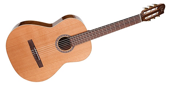 GODIN GUITAR / CONCERT画像3