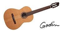GODIN GUITAR / ETUDE