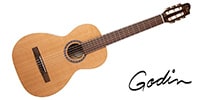 GODIN GUITAR / MOTIF