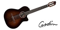 GODIN GUITAR ARENA PRO CW BOURBON BURST EQ