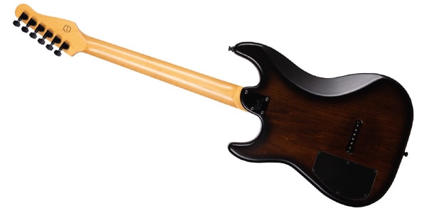 GODIN GUITAR ( ゴダンギター )  / SESSION RHT PRO BOURBON BURST画像2