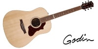 GODIN GUITAR / METROPOLIS NATURAL RN GT EQ