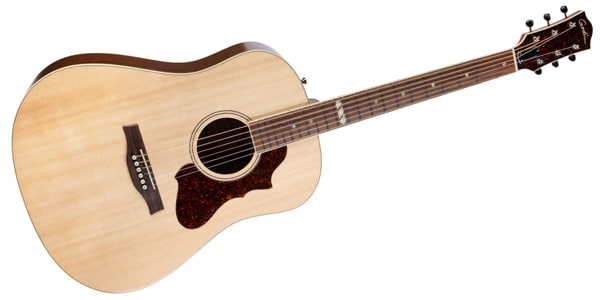 GODIN GUITAR ( ゴダンギター )  / METROPOLIS NATURAL RN GT EQ画像3