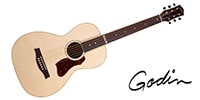 GODIN GUITAR / RIALTO NATURAL RN GT EQ