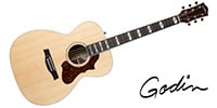 GODIN GUITAR / FAIRMOUNT CH LTD ROSEWOOD HG EQ W/BAG
