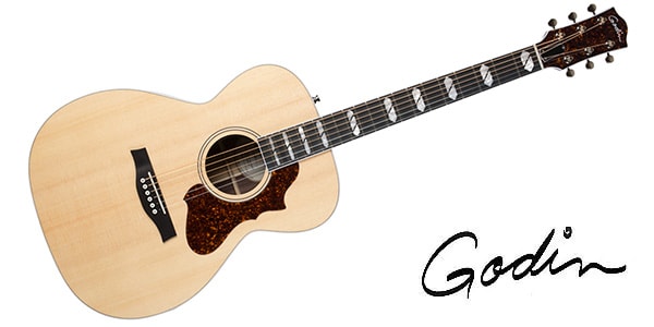 GODIN GUITAR ( ゴダンギター )  / FAIRMOUNT CH LTD ROSEWOOD HG EQ W/BAG