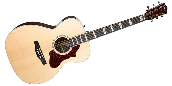 GODIN GUITAR ( ゴダンギター )  / FAIRMOUNT CH LTD ROSEWOOD HG EQ W/BAG画像3