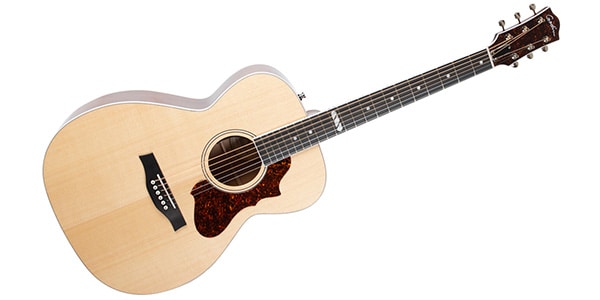 GODIN GUITAR ( ゴダンギター )  / FAIRMOUNT CH NATURAL HG EQ W/BAG画像3