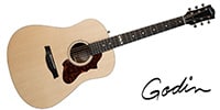 GODIN GUITAR / METROPOLIS CLASSIC ELEMENT W/BAG