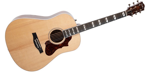 GODIN GUITAR ( ゴダンギター )  / METROPOLIS LTD NATURAL HG EQ W/BAG画像3